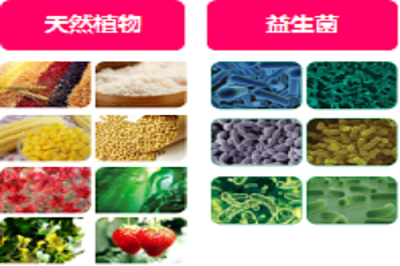 1650610104184474.png 1470373304.png